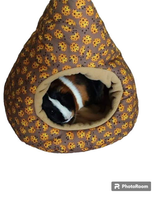 Tipi